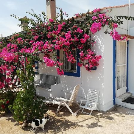 Finca La Joya Торребланка Экстерьер фото