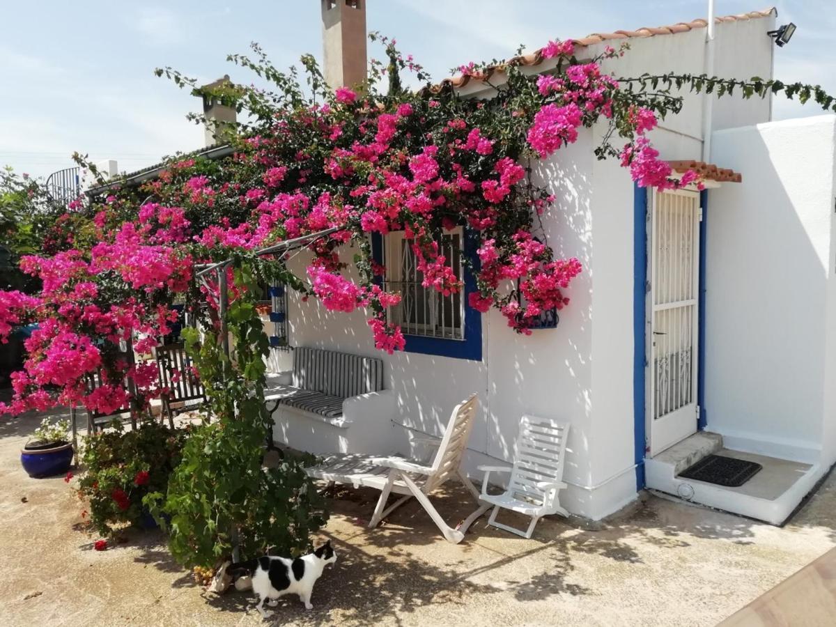 Finca La Joya Торребланка Экстерьер фото